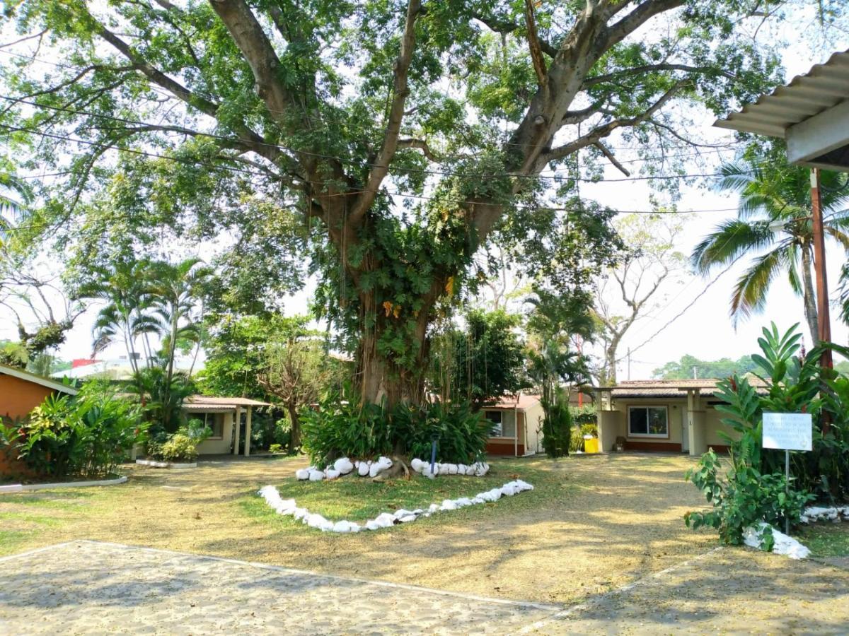 La Colonia 3*